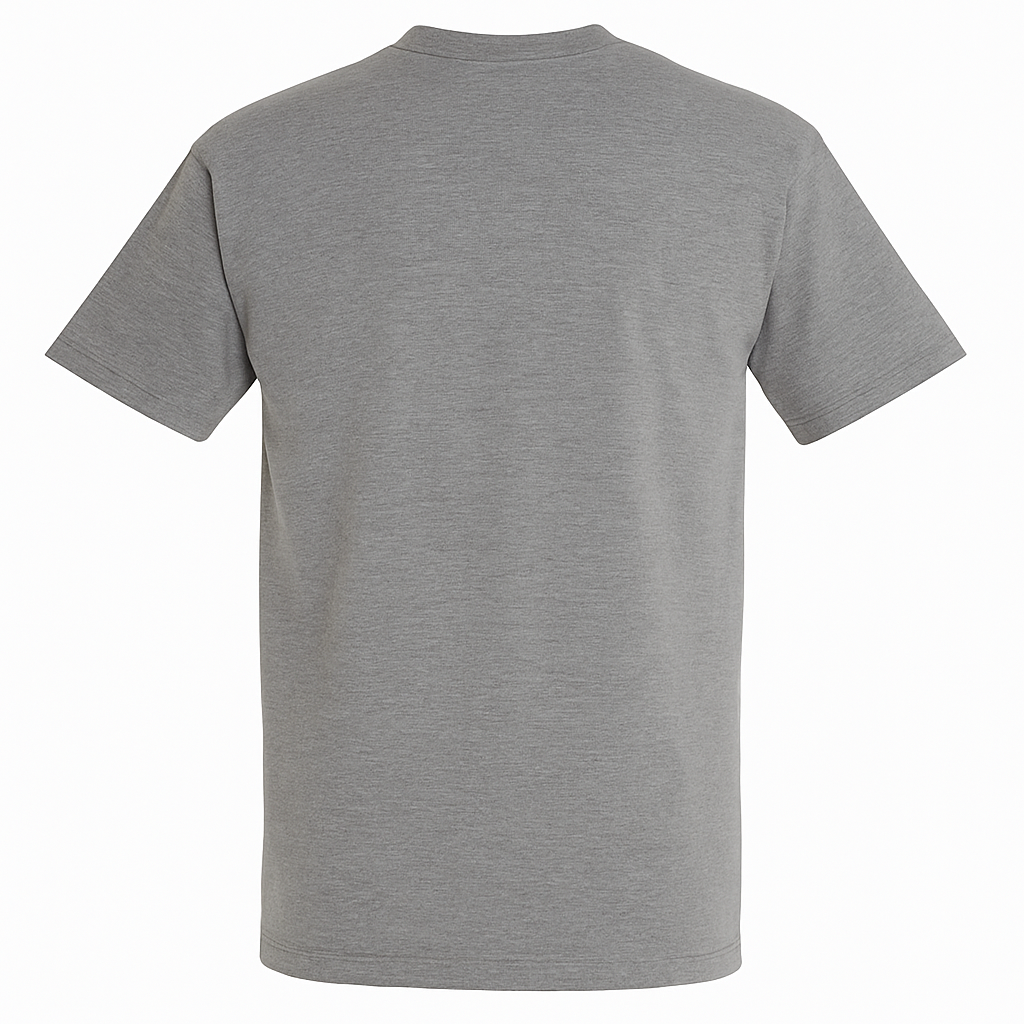 Imperial T-Shirt Grey Melange Rückseite